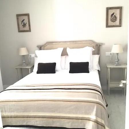 Morendal-zaaita 索里亚