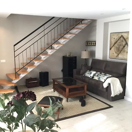 Morendal-zaaita 4* 索里亚