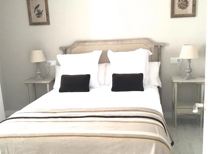 Morendal-zaaita Soria