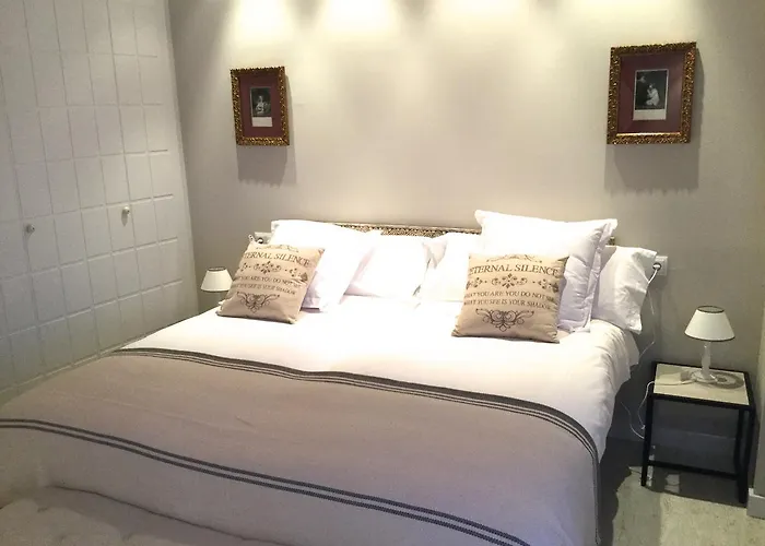 Morendal-zaaita Soria